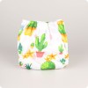 Design: Cactus
