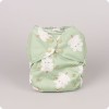 Design: Evergreen NEW