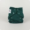 Design: Evergreen