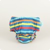 Design: Swim Stripe