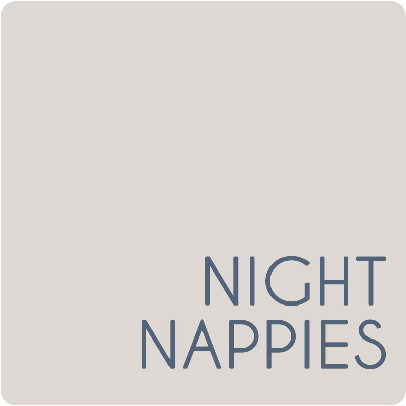 Night Time Nappies