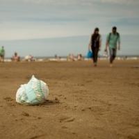 Disposable nappy abandoned on beach