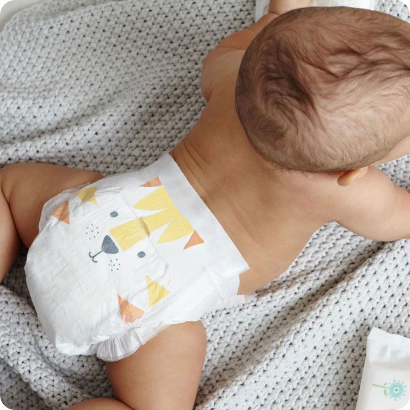 Kit & Kin Nappies - Size 4