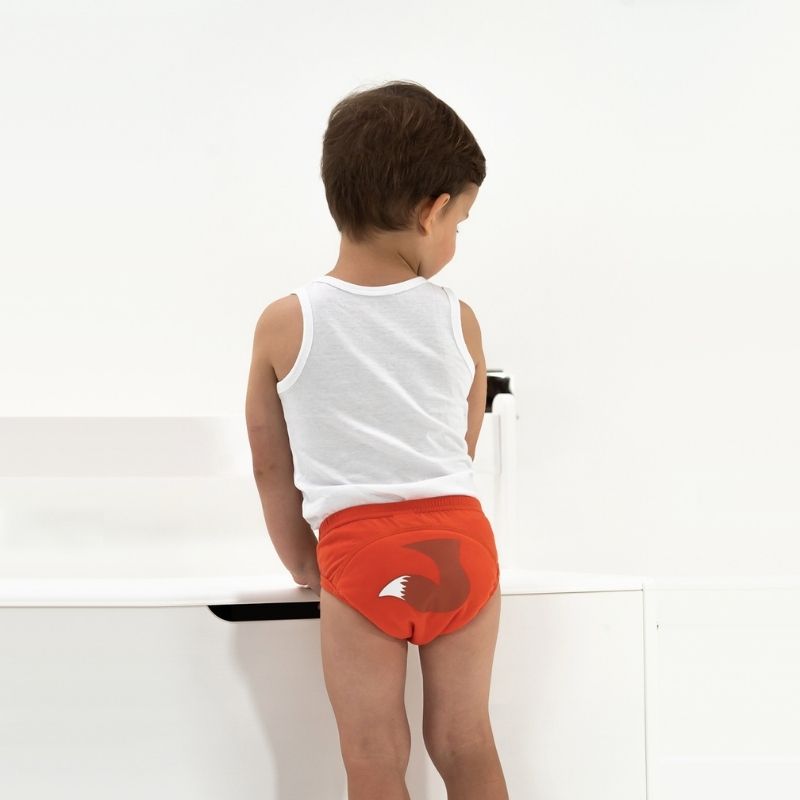 Potty Training Underwear Training Underwear for Boys Potty Training Pants 18  Month Training Underwear Boys Potty Training Underwear Boys Toddler Training  Underwear Toddler Potty Training Underwear : : Baby